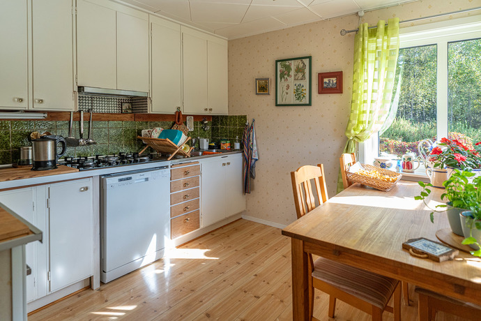 Flinks_EdsAsen150_MM_03302_webb