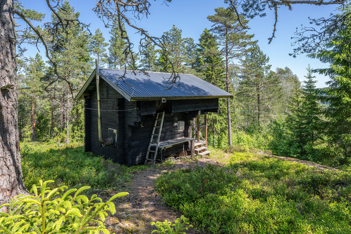Flinks Höglund Skröfva 3 SLM04243 web