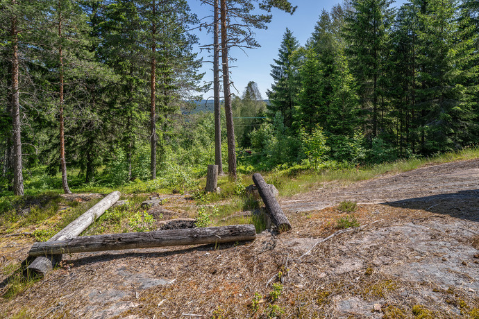 Flinks Höglund Skröfva 3 SLM04244 web