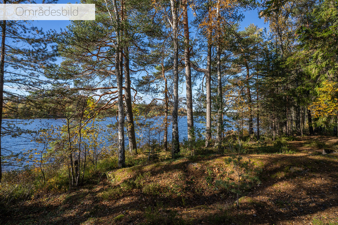 Flinks_Kokerigatan 9_SLM07154_web text