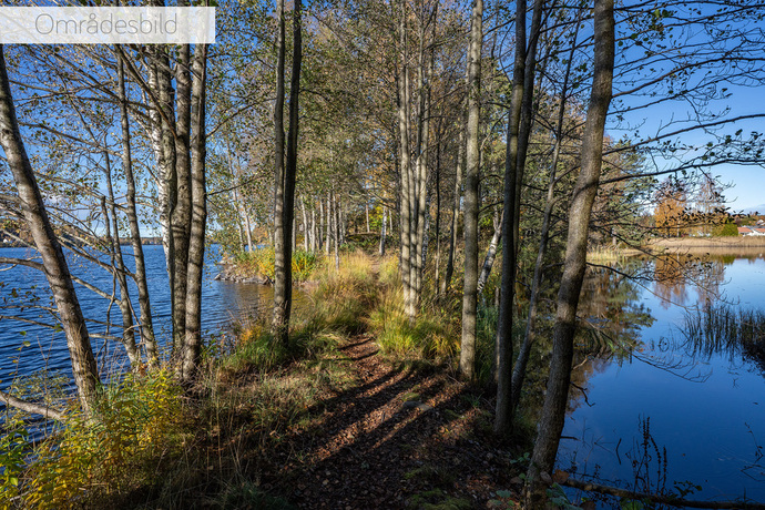 Flinks_Kokerigatan 9_SLM07155_web text