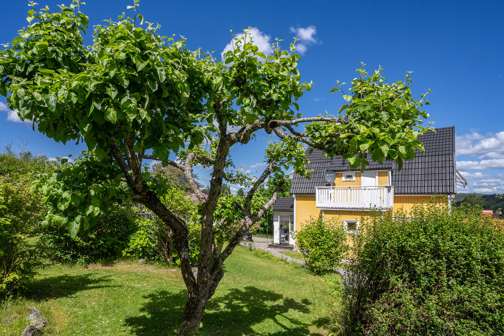 Unik fastighet som upplevs som en liten lantlig idyll mitt i centrala Bengtsfors!, bild 45
