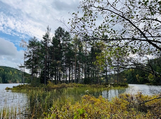 Lantligt fritidsställe med egen skog om 9 hektar!, bild 10
