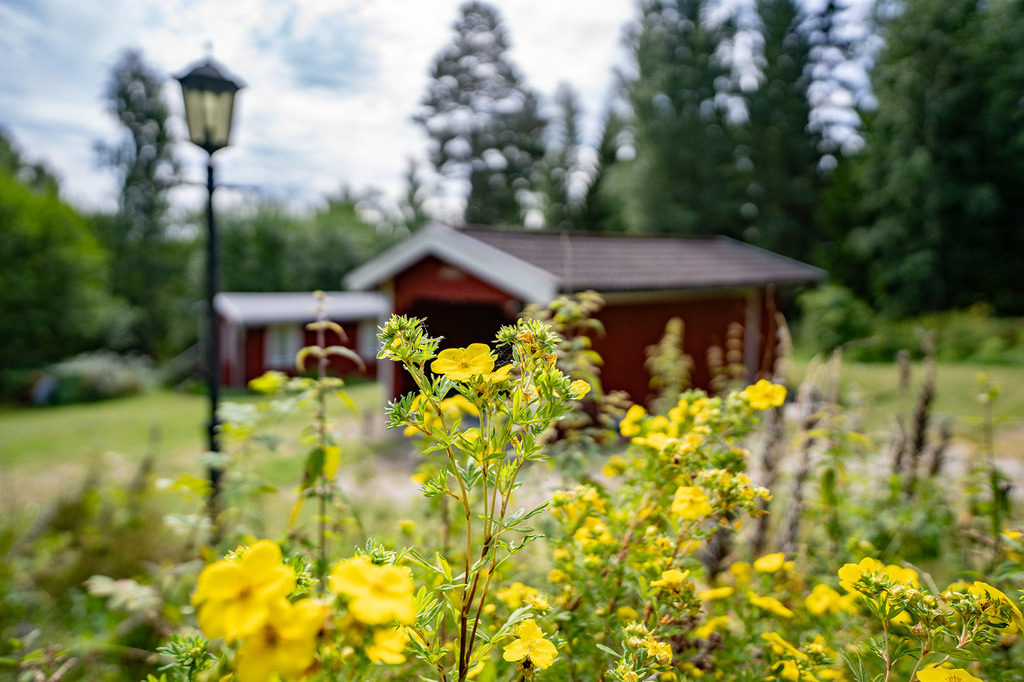 Sjönära fritidshus med rymd, bastu och gästhus!, bild 10