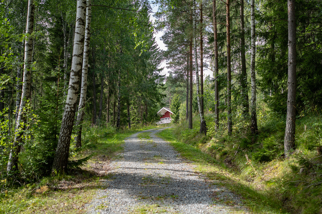 Sjönära fritidshus med rymd, bastu och gästhus!, bild 12