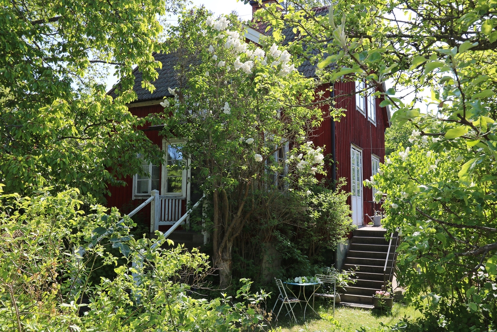Huset skymtas bakom syrénen