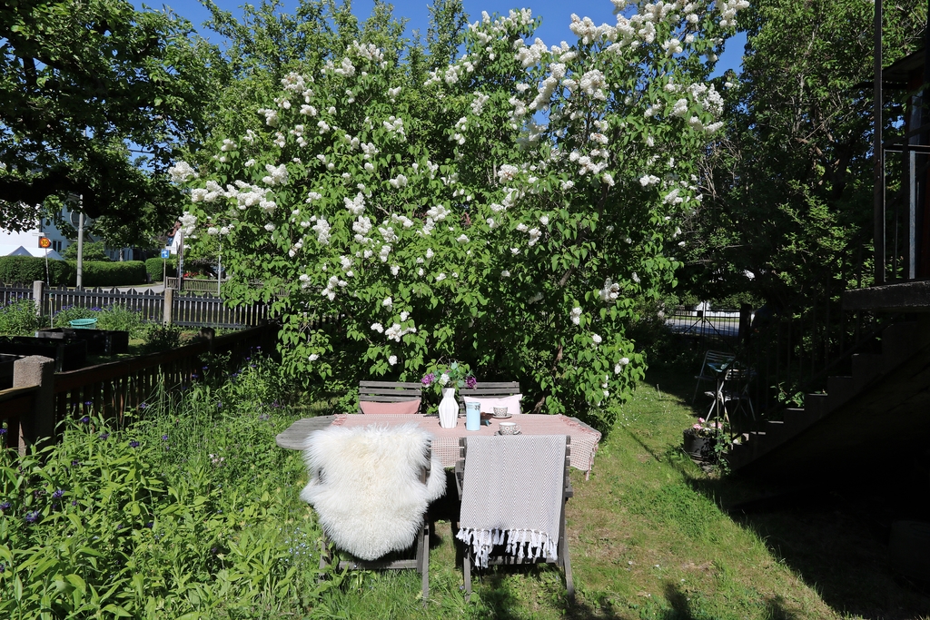 Uteplats intill syrénen