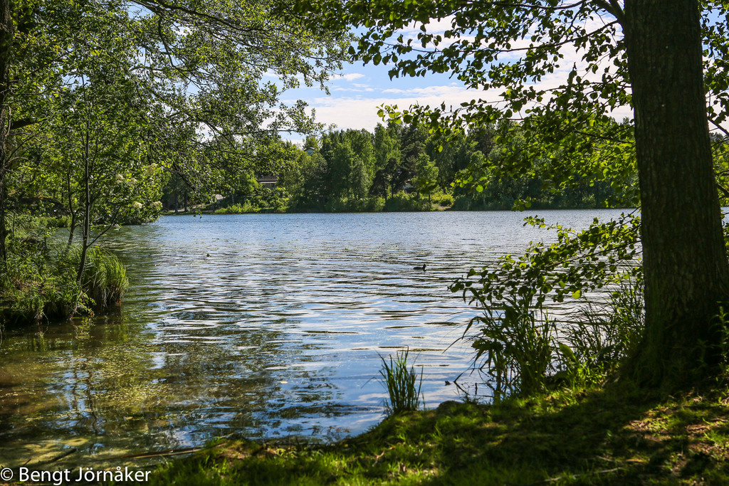 Långsjön 