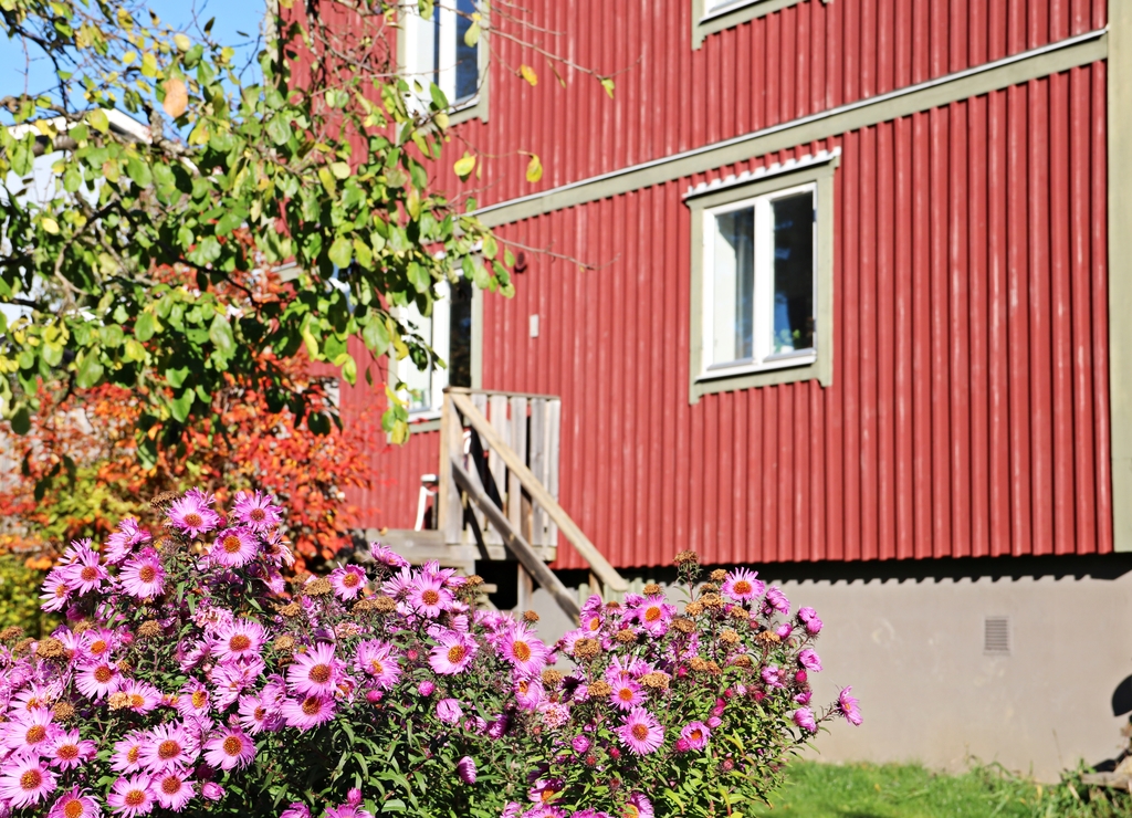 Välkommen upp på verandan