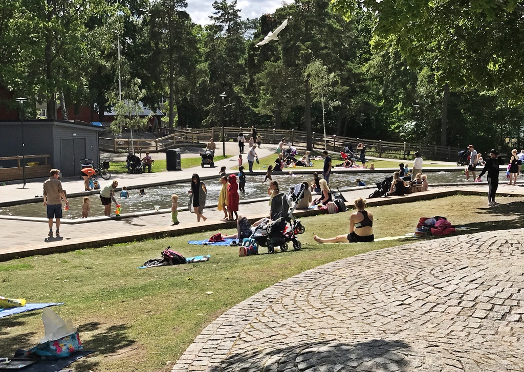 Plaskdamm i Aspuddsparken