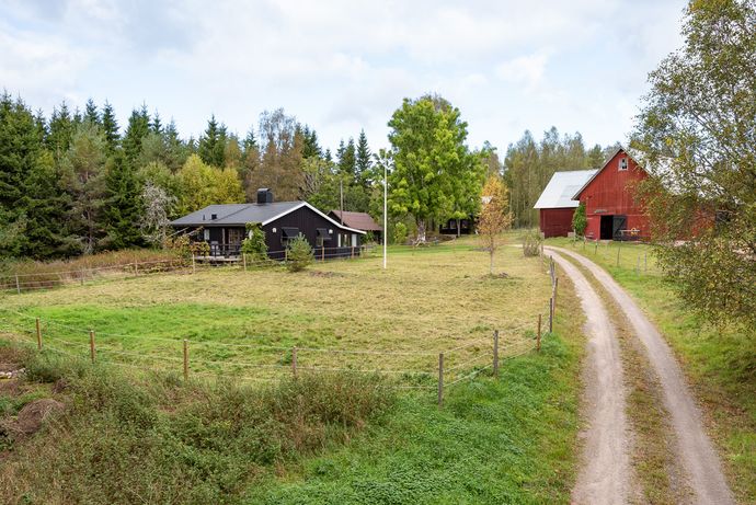 Lilla Blåhult 2, Tidaholm